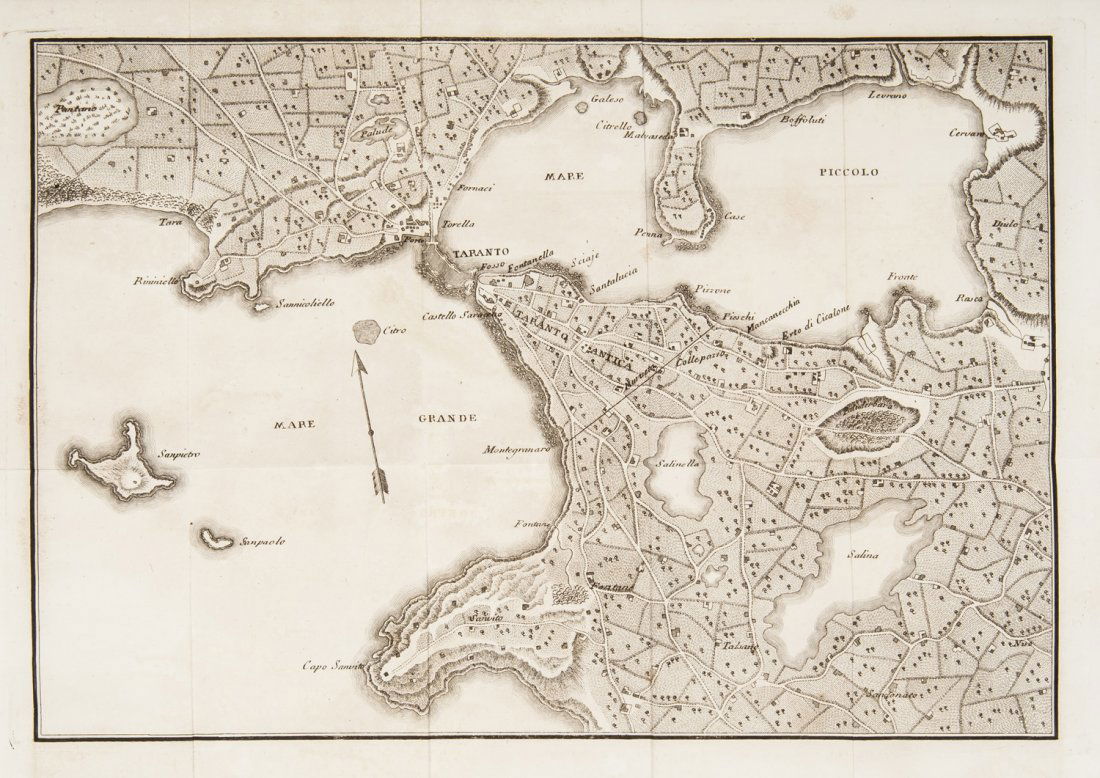 Catalogazione Opere D Arte Software As A Service Dog