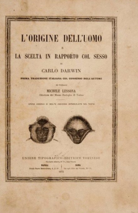 DARWIN, Charles. L'origine dell'uomo (1 of 1)