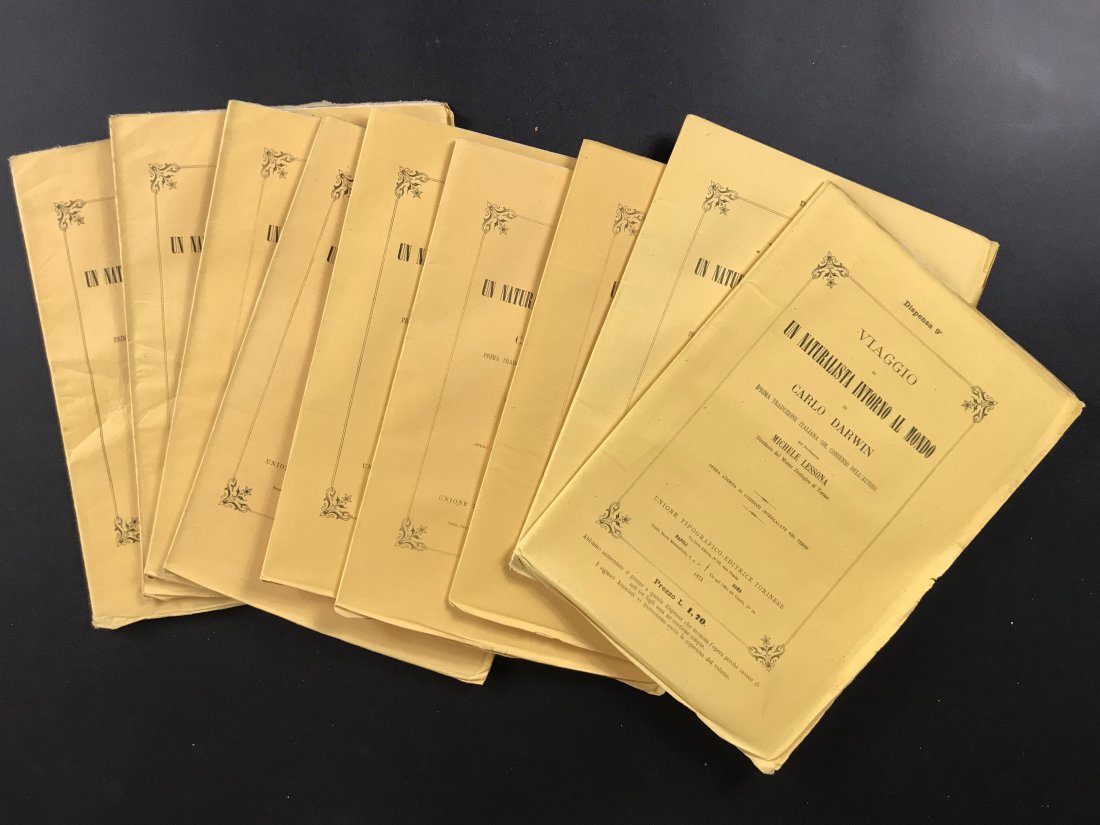 DARWIN, Charles.  Viaggio di un naturalista (1 of 1)