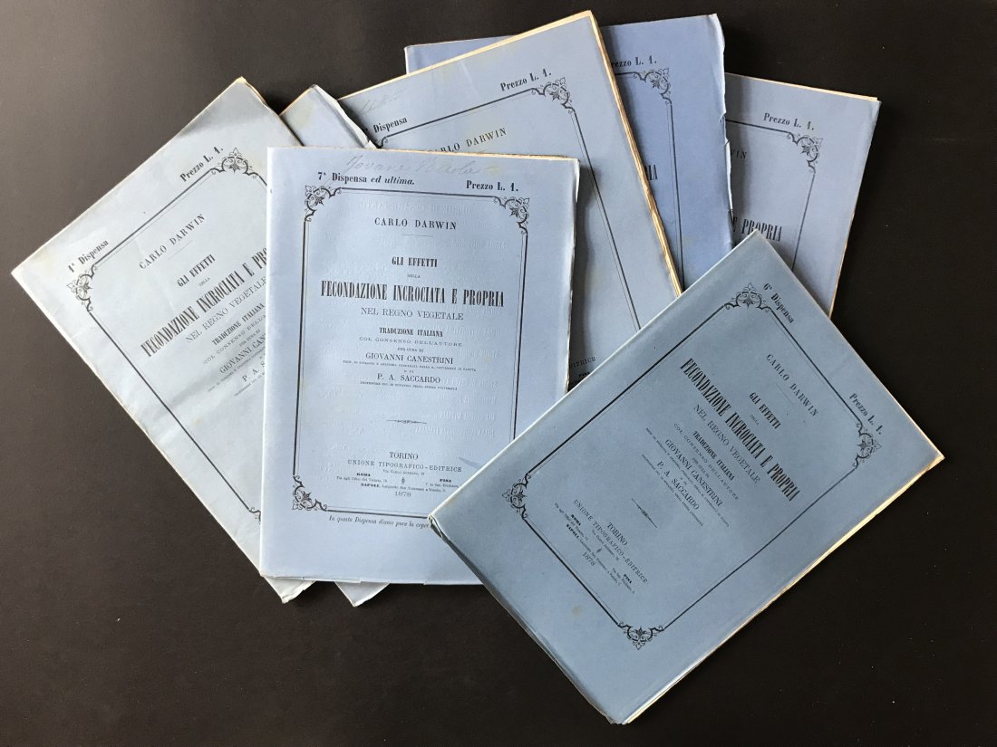 DARWIN, Charles. Gli effetti della fecondazione (1 of 1)