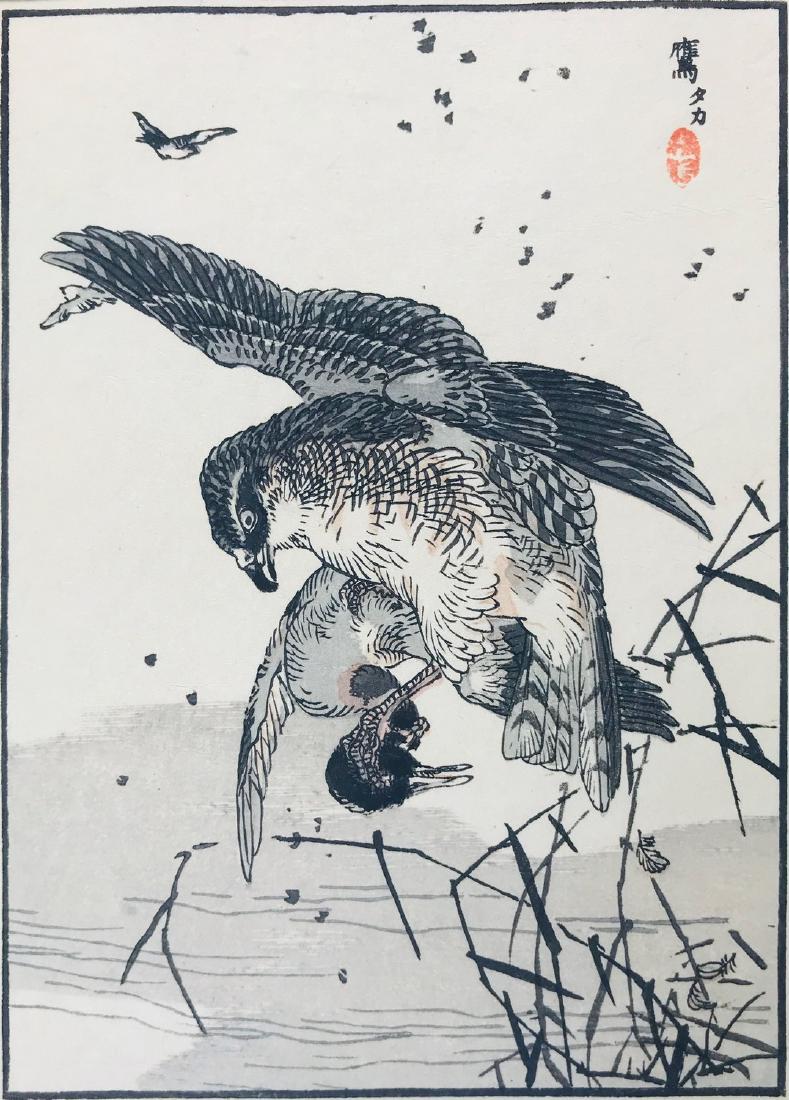 GAFU. Hawk hunting a duck.: Bairei Hyakucho GAFU. 1844 -1895 Hawk hunting a duck (From Bairei's Album of One Hundred Birds, Tokyo, Kineido and Kyoto, Okura Magobei, Meiji 14 1881) Polychrome woodblock. 205x145 mm., with little m