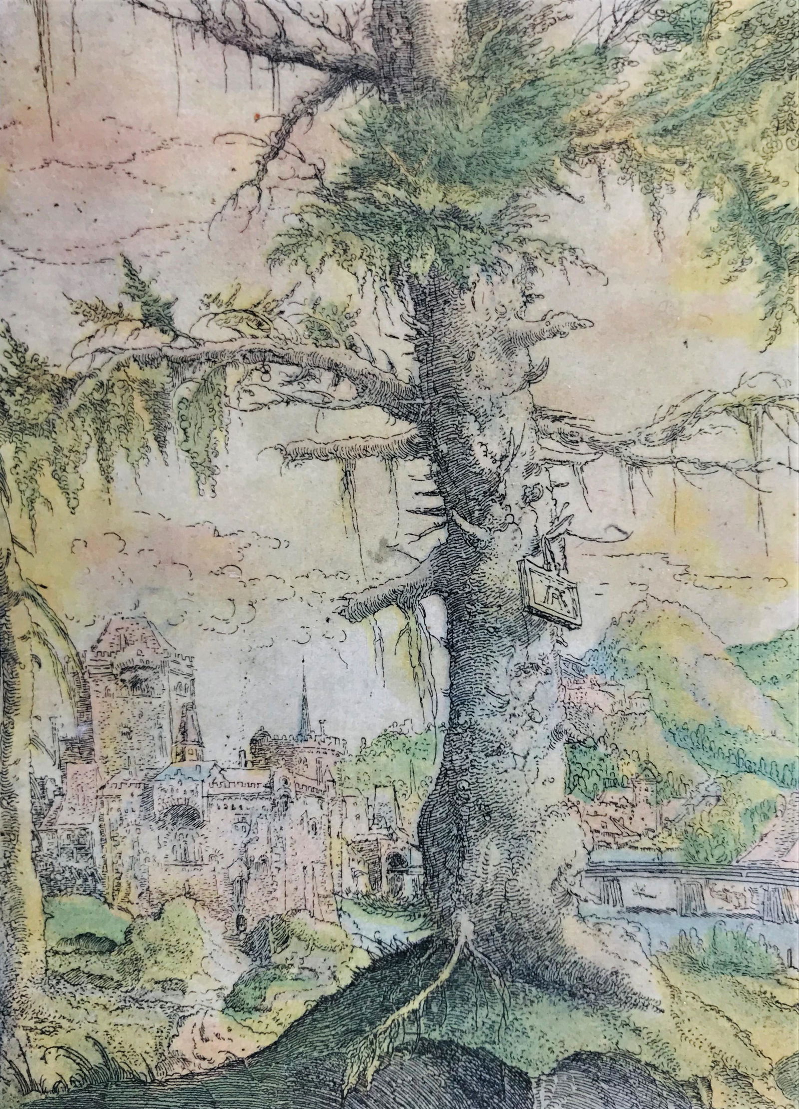 ALTDORFER. The little spruce.: Albrecht ALTDORFER1480-1535The little spruce.1520-22Acquaforte con tracce di coloritura e timbro di correzione al verso, 154x113 mm. Monogramma di Altdorfer su di una lavagnetta appesa ad un rametto d