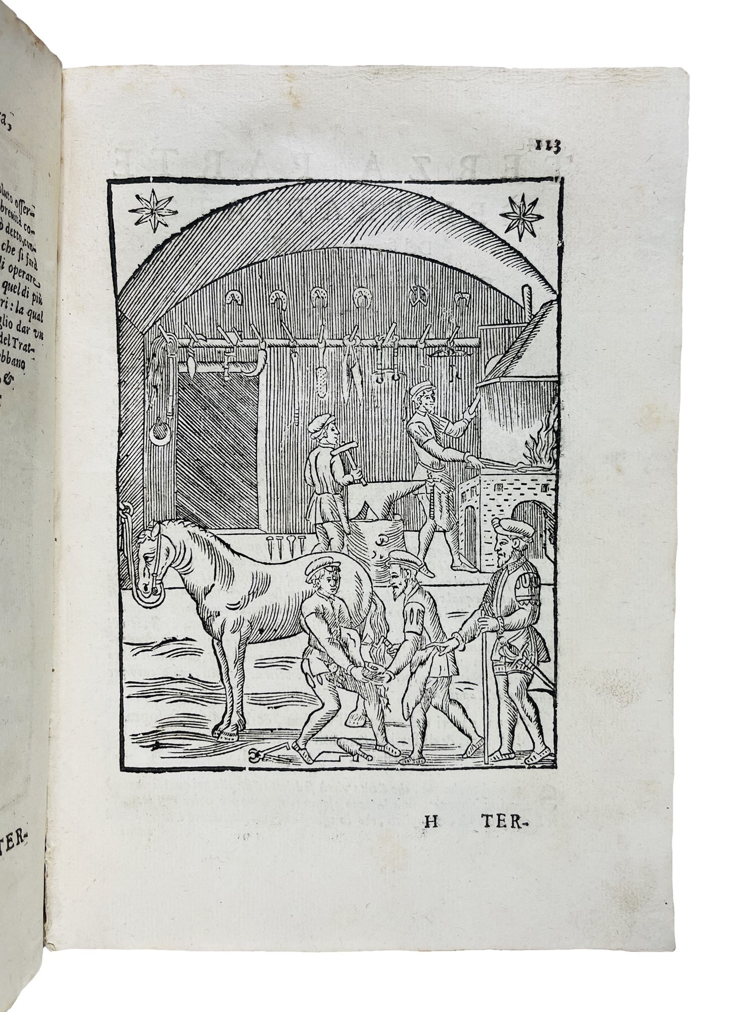Horses. FIASCHI. Trattato dell'imbrigliare, atteggiare, & ferrare cavalli. (1 of 3)