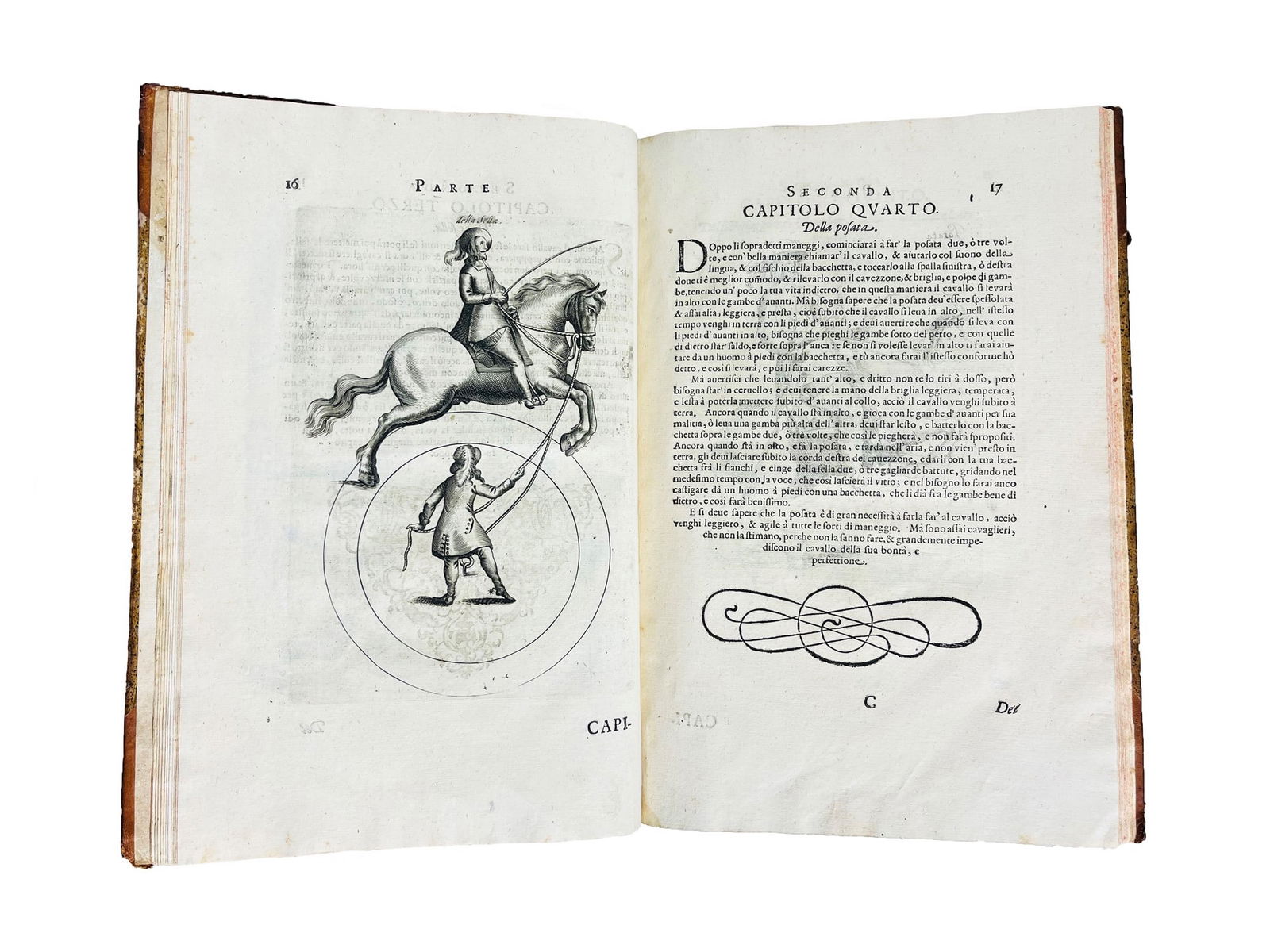 Horse. GALIBERTO. Il cavallo da maneggio. (1 of 2)