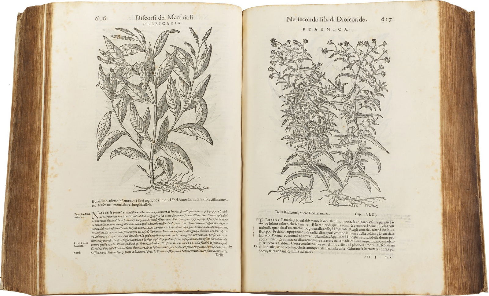 Botany - Medicine. MATTIOLI. Dei Discorsi… nelli sei libri di Pedacio Dioscoride Anazarbeo (1 of 6)