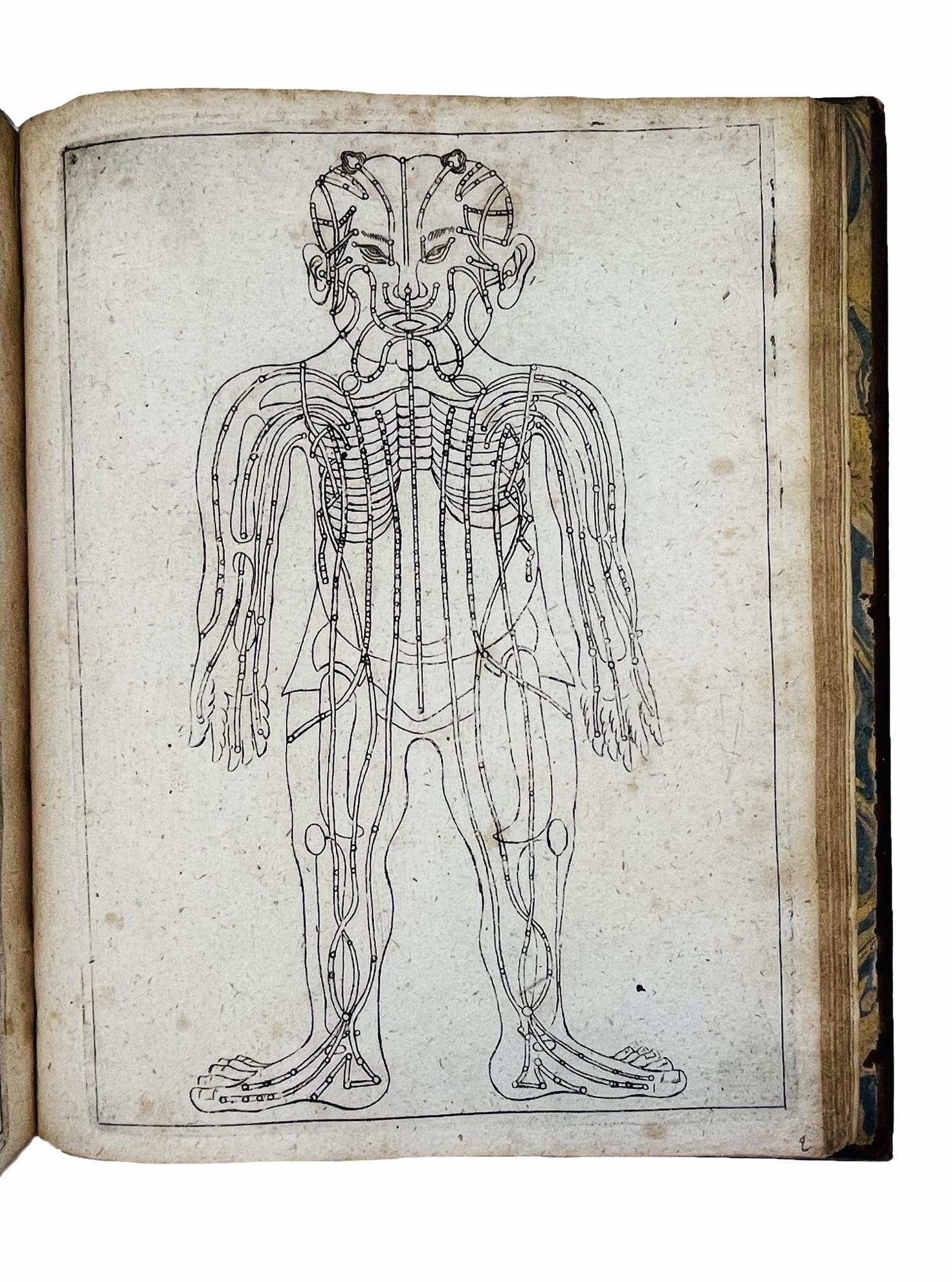 Chinese Medicine. CLEYER. Specimen medicinae sinicae, sive opuscula medica ad mentem sinensium. (1 of 4)