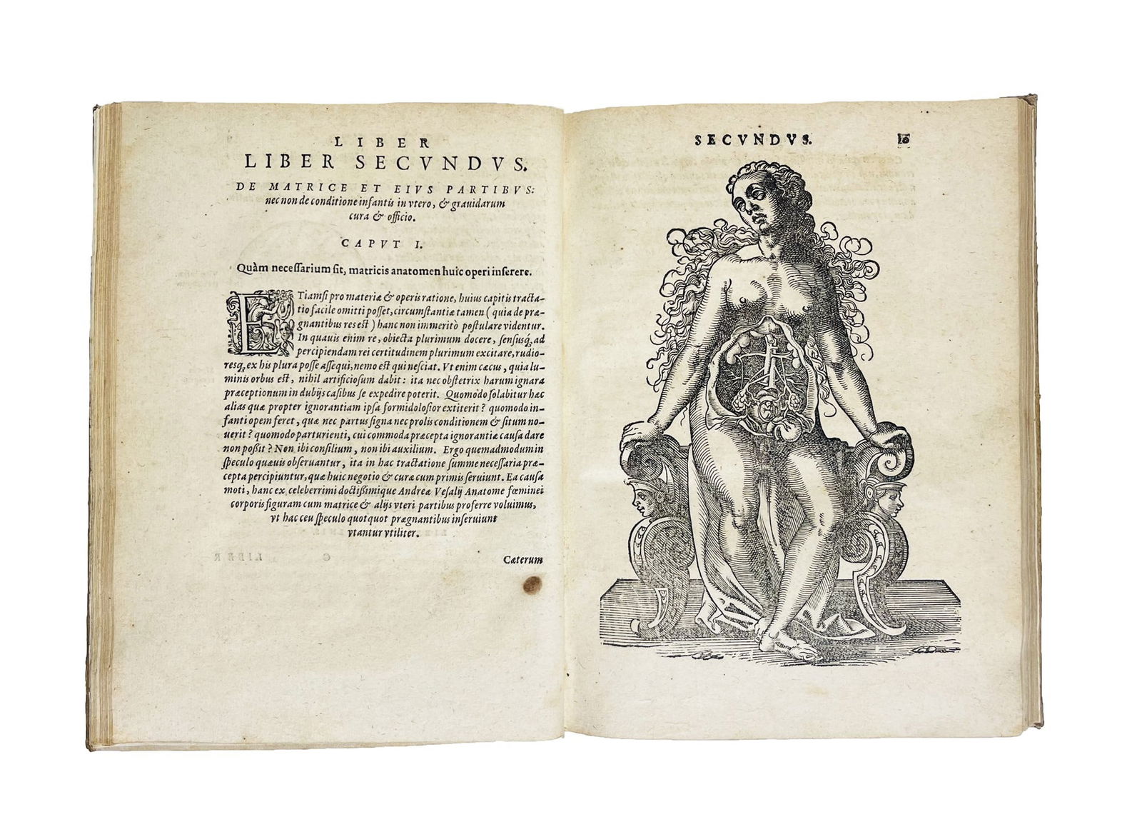 Childbirth. RUEFF. De conceptu, et generatione hominis. (1 of 2)