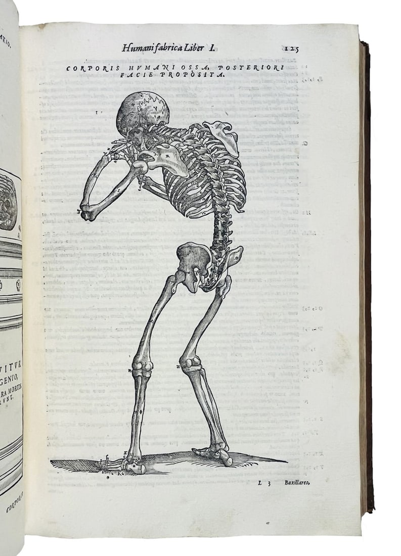 VESALIUS. De humani corporis fabrica libri septem. Cum indice rerum & uerborum memorabilium (1 of 4)