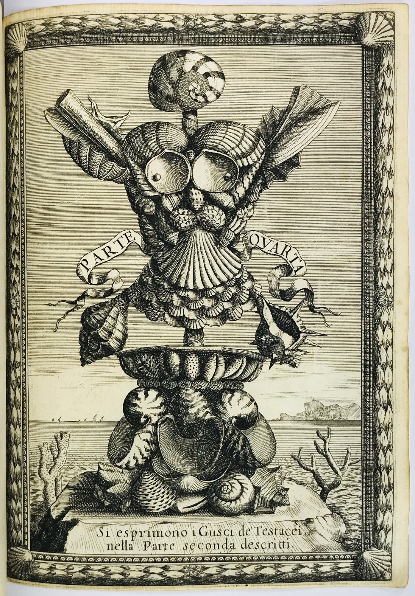 Conchology. BUONANNI. Ricreatione dell'occhio e della mente nell'osservation' delle chiocciole. (1 of 5)