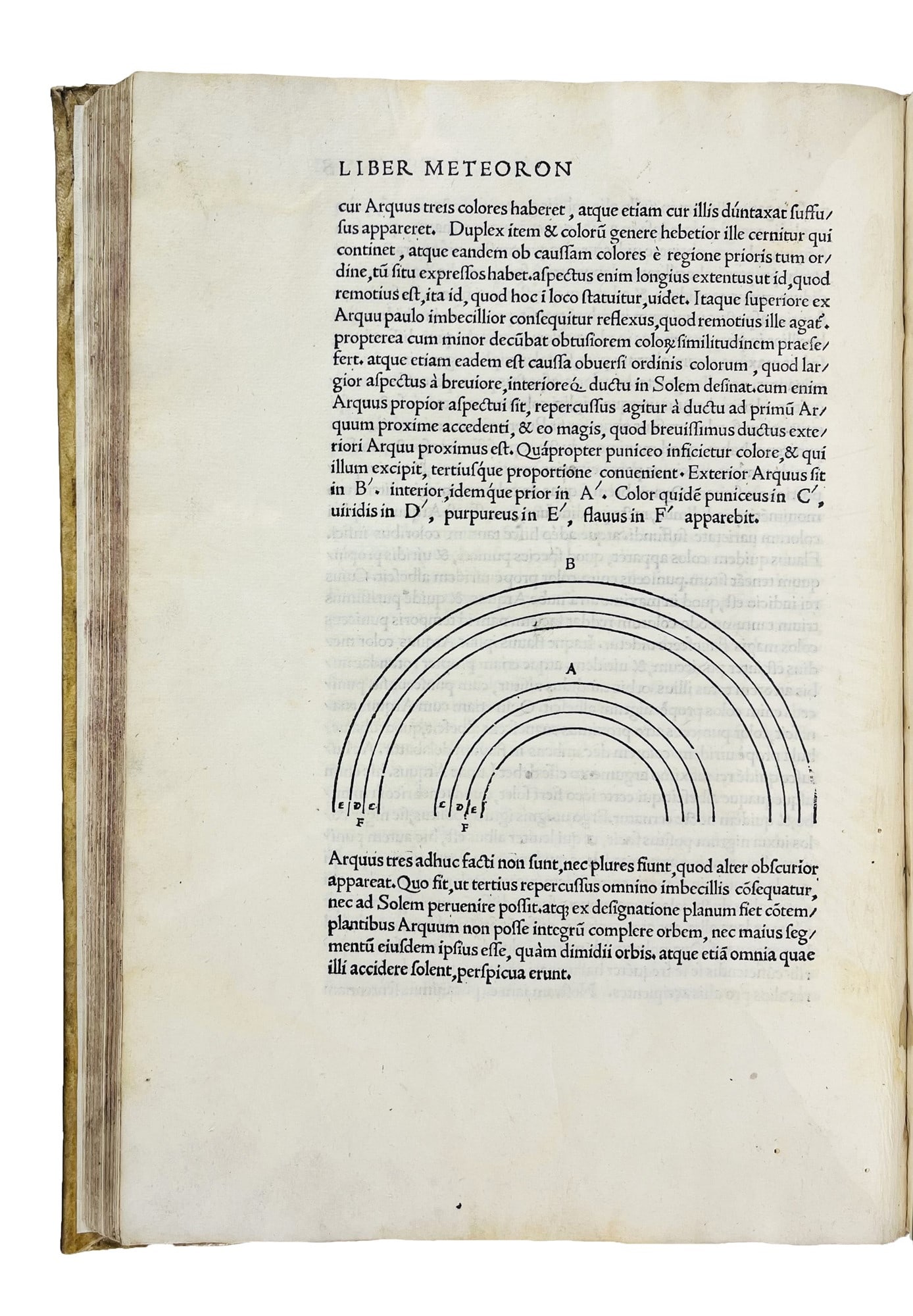 ARISTOTELES - ALCIONIO. Habes hoc in codice lector Aristotelis libros De generatione & interitu (1 of 4)