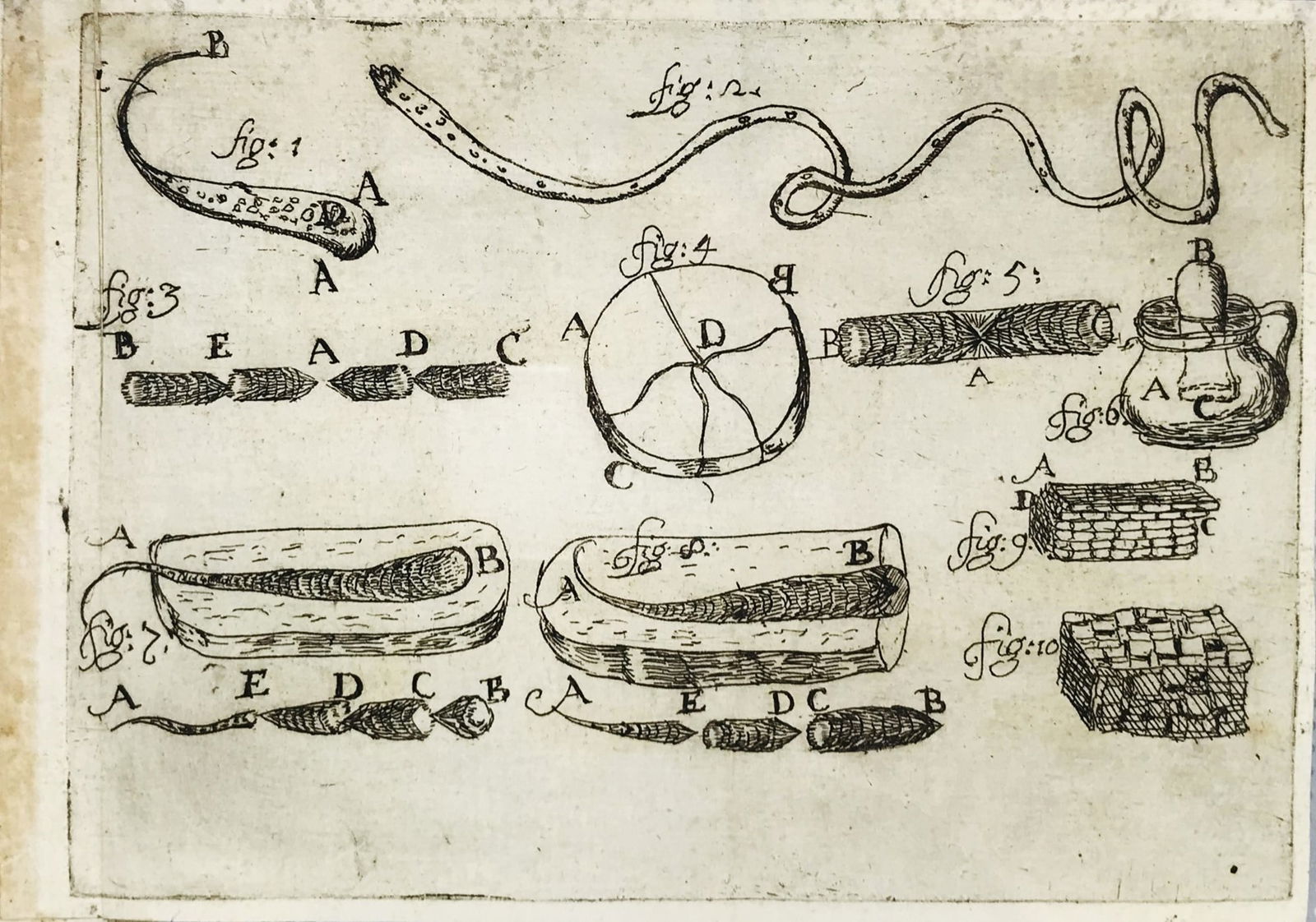 Glass. MONTANARI. Speculazioni Fisiche… sopra gli effetti di que’ vetri temprati. (1 of 1)