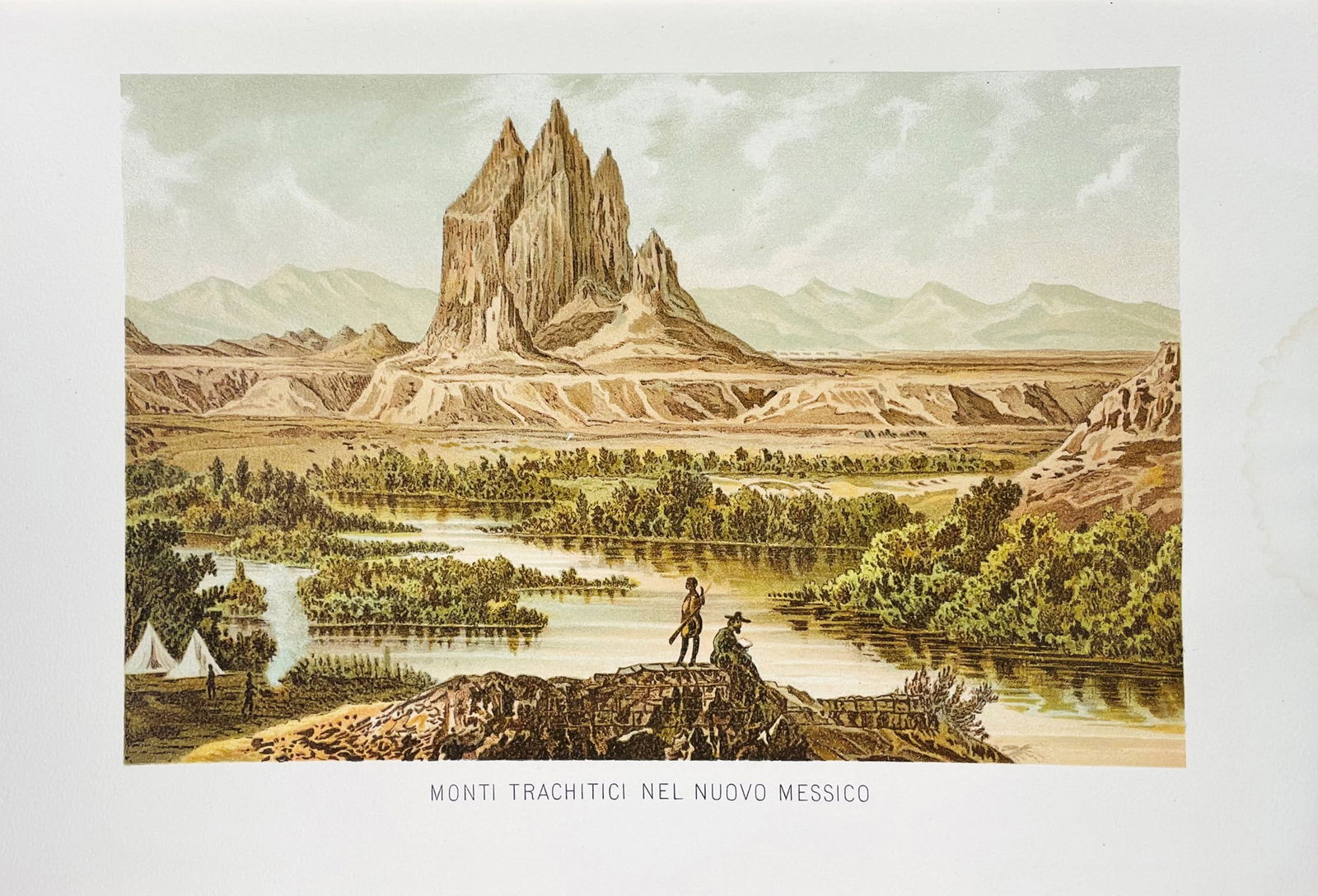 Natural History. KERNER di MARILAUN. La vita delle Piante. NEUMAYR. Storia della Terra. (1 of 6)