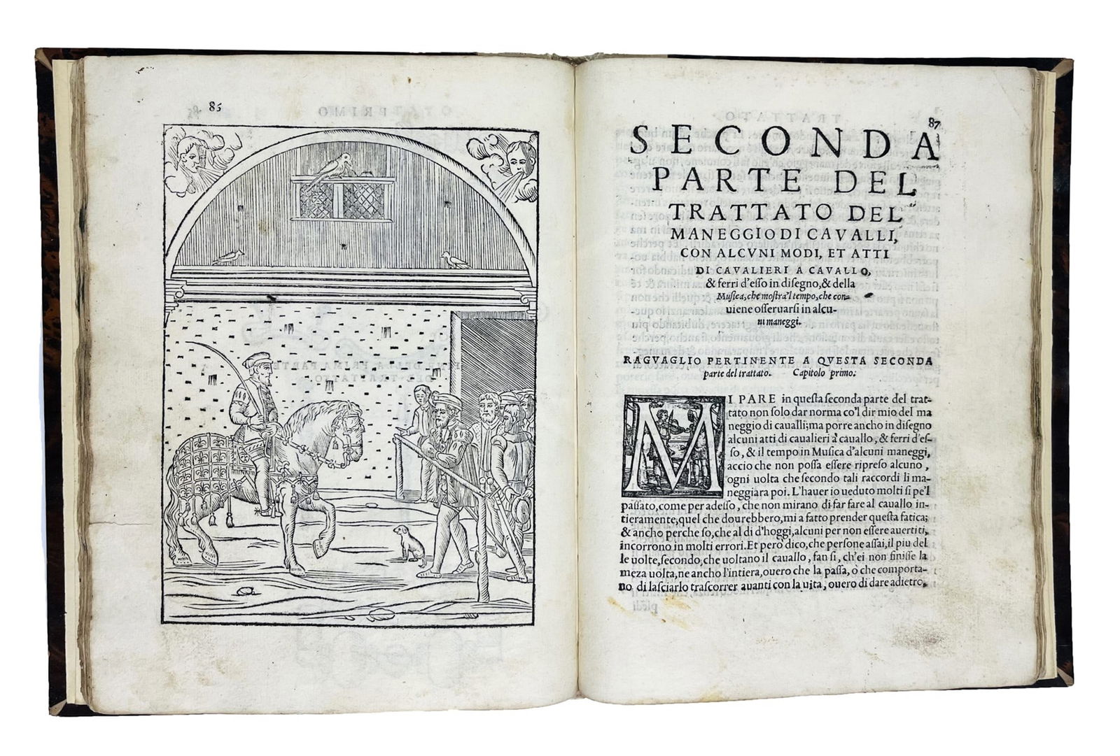 Horse. FIASCHI. Trattato dell'imbrigliare, atteggiare, & ferrare cavalli. (1 of 2)