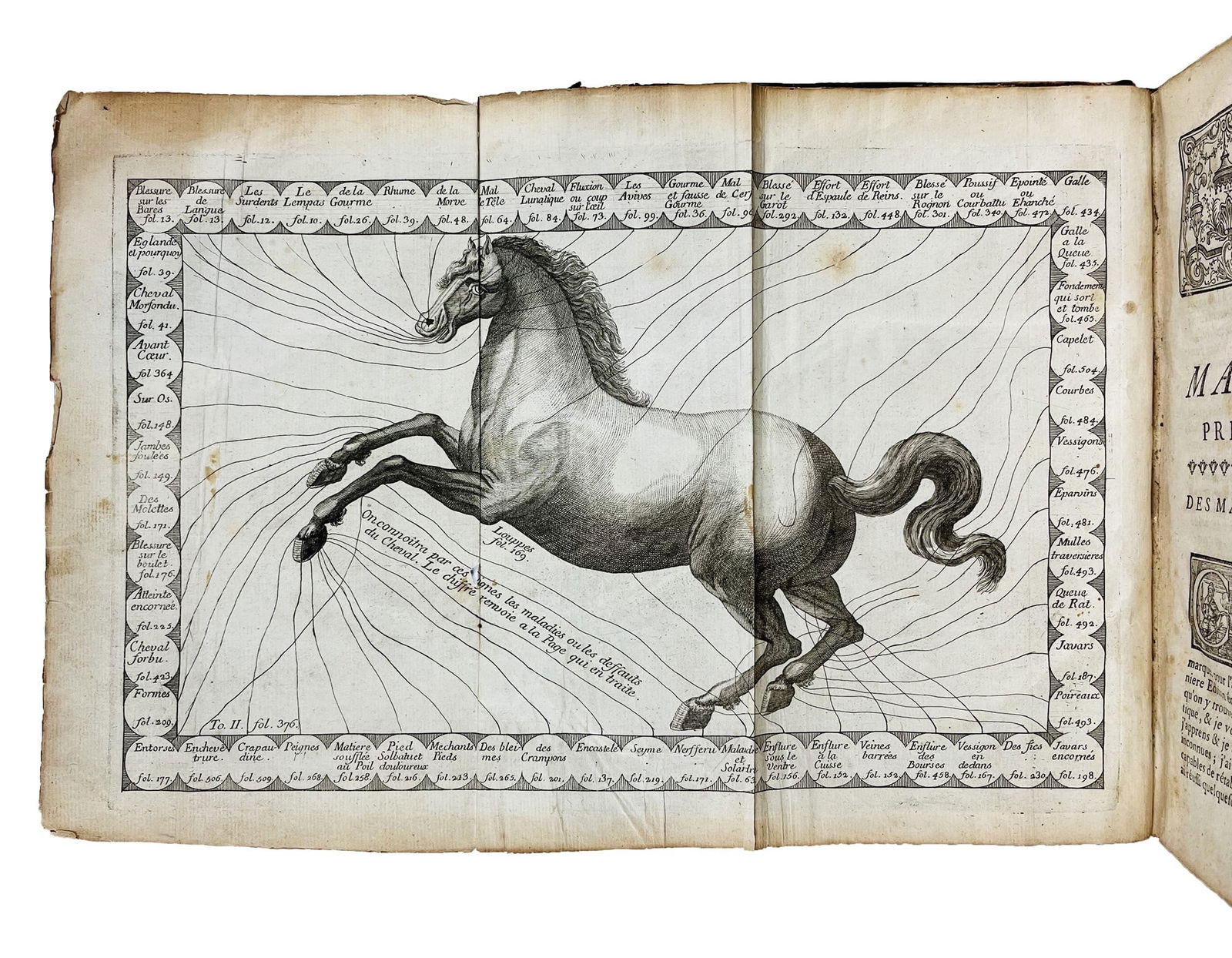 Horse. DE SOLLEYSEL. Le parfait Marchal. (1 of 1)