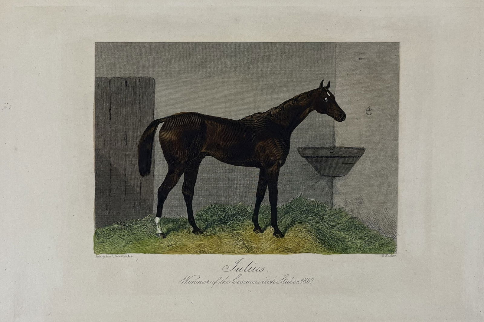 Tattersall Horses. Quattro stampe di cavalli inglesi. (1 of 4)