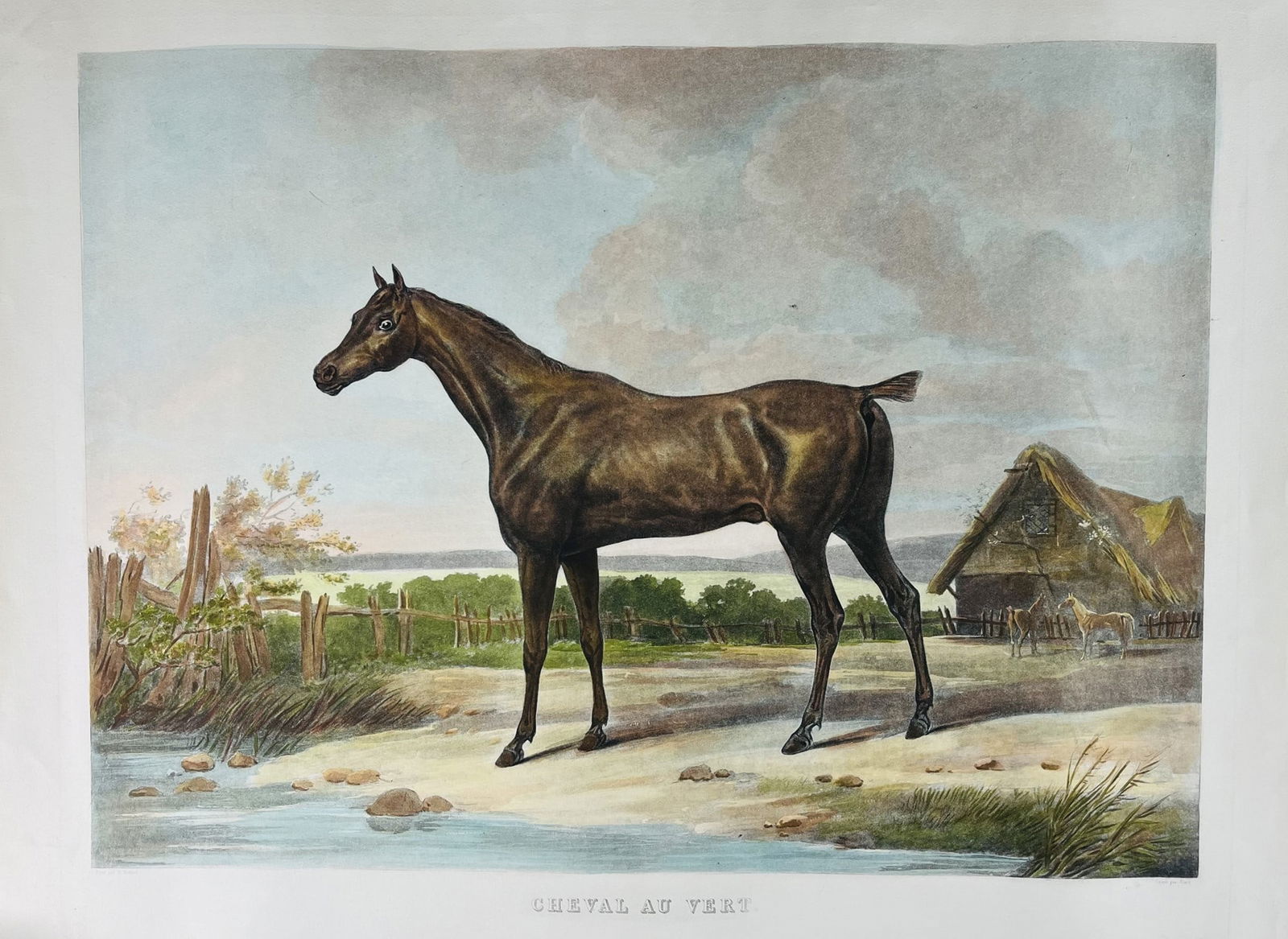 Horse. VERNET - JAZET. Cheval au vert.: VERNET, Carle - JAZET, Jean Pierre. Cheval au vert.XIX secoloIncisione in rame; Misure del foglio: 745x885 mm.; inciso di 615x770 mm. Titolo in basso, Margini. Buon esemplare.Jean Pierre Jazet (1788-1