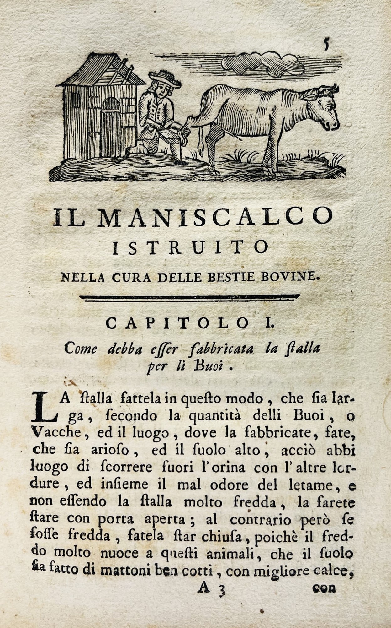 Cattle Care. TRUTTA. Il maniscalco istruito nella cura delle bestie bovine. (1 of 1)