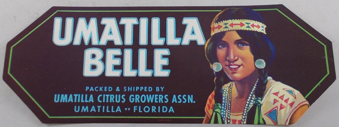 Umatilla Belle Citrus Crate Label. New old stock.: Pictures Umatilla Indian Princess