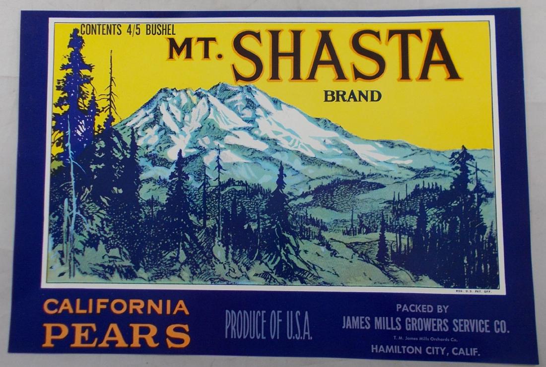11” Mt. Shasta Brand Pear Crate Label c.1940's (1 of 1)
