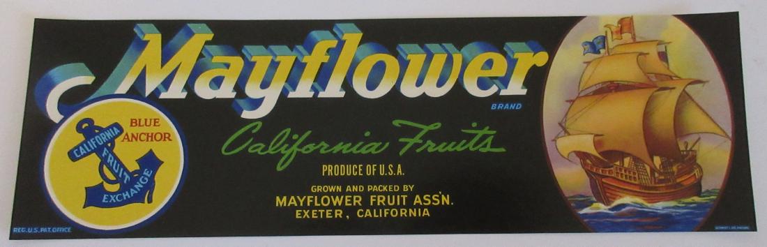 Mayflower Grape Crate Label. 13”. c.1950s. Great (1 of 2)