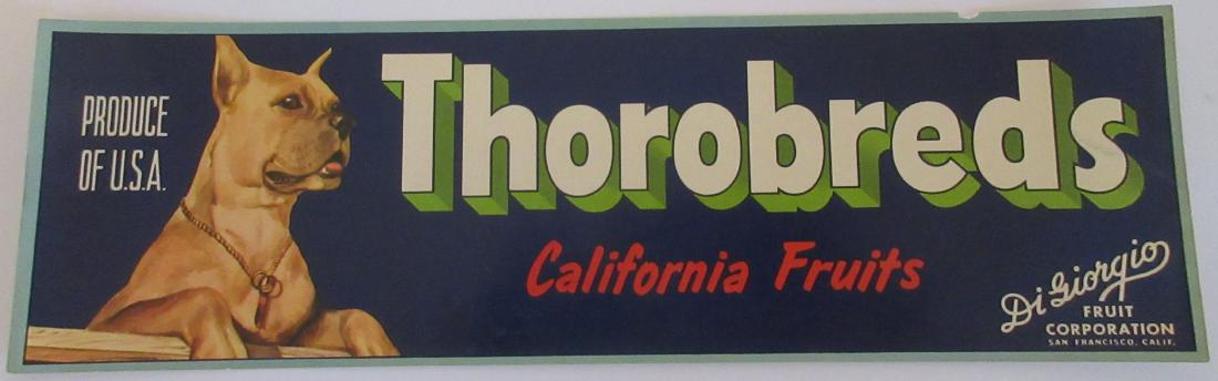 Thorobreds Grape Crate Label - Boxer Dog. 13”. c.1950s (1 of 3)