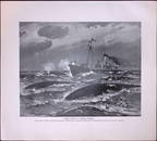 Hunting The Rorqual Whales Rare Limited-Edition J.G. Millais Antique Print.