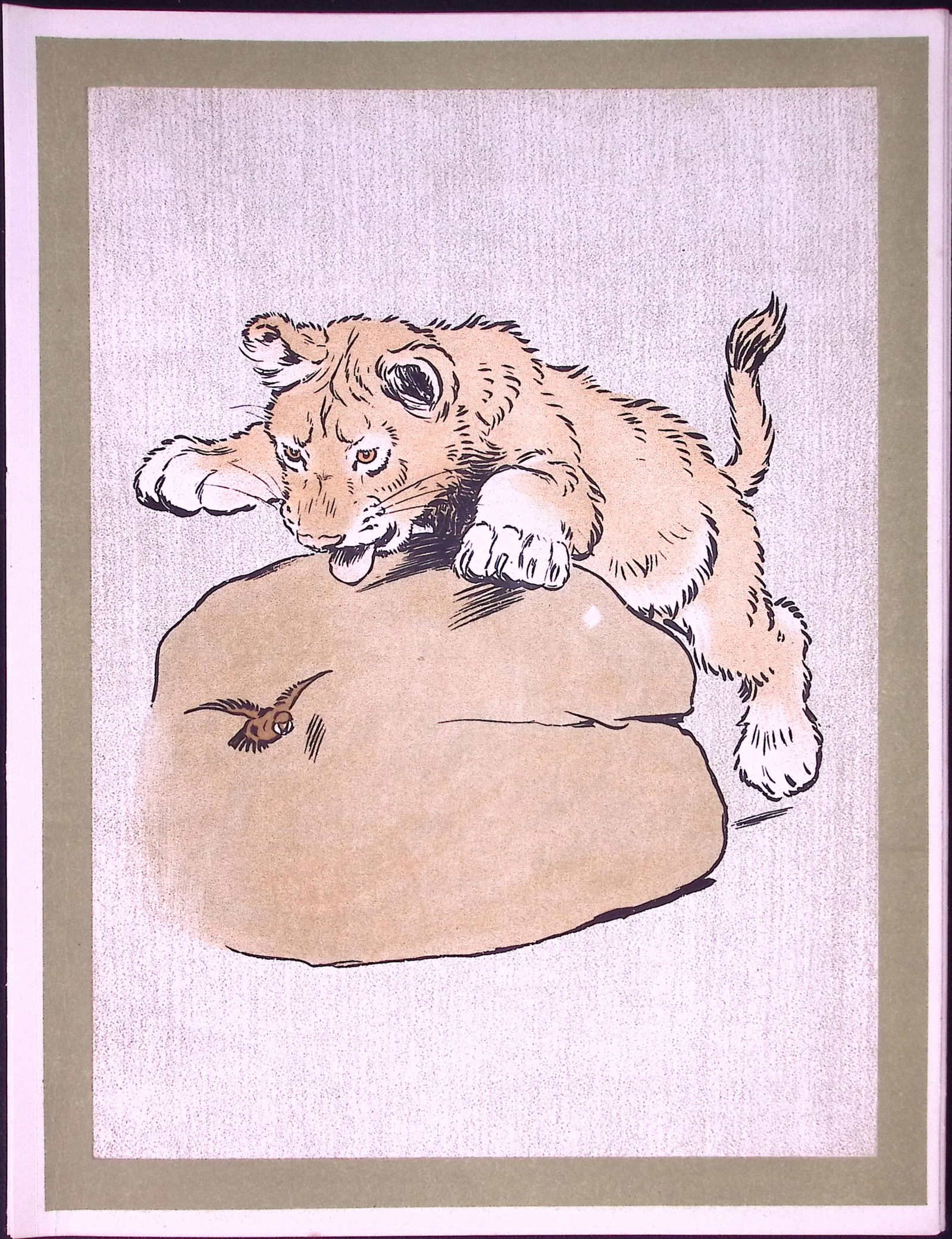 Cecil Aldin Antique Zoo Babies Scarce Coloured Illustration “Lion Cub”-6: Title: Cecil Aldin Antique Zoo Babies Scarce Coloured Illustration “Lion Cub”-6 Description: This Difficult to Obtain Illustration Has Been Removed from an Original