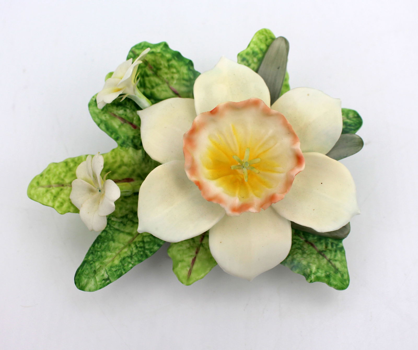 Royal Worcester Flower Narcissus: Title: Royal Worcester Flower Narcissus Description: Royal Worcester Flower Narcissus Fine and delicate vintage Royal Worcester porcelain flower study. Black factory backstamp. <