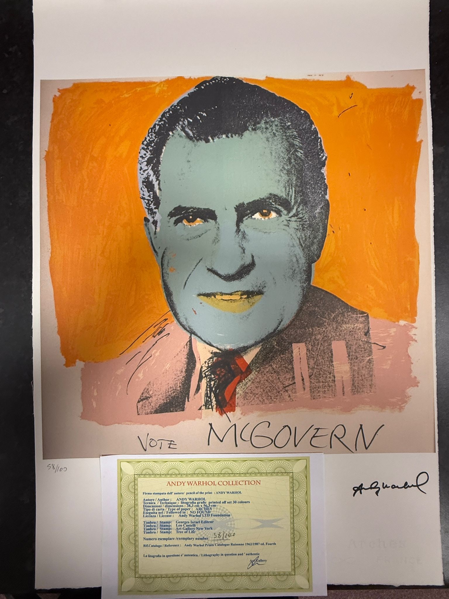 Andy Warhol, Original, Lithograph, Limited Edition, Plate Signed, Framed (1 of 2)