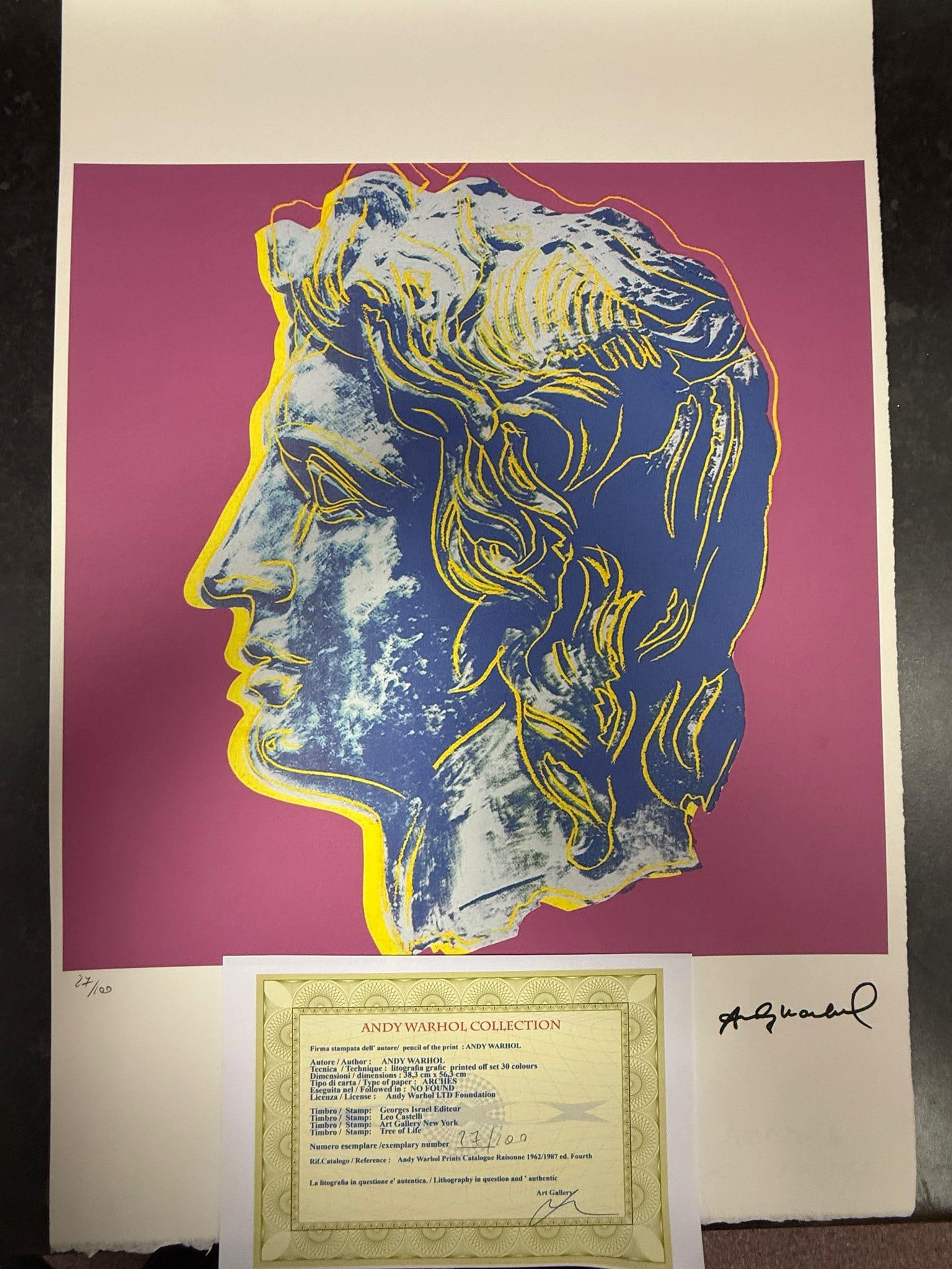 Andy Warhol, Original, Lithograph, Limited Edition, Plate Signed, Framed (1 of 2)