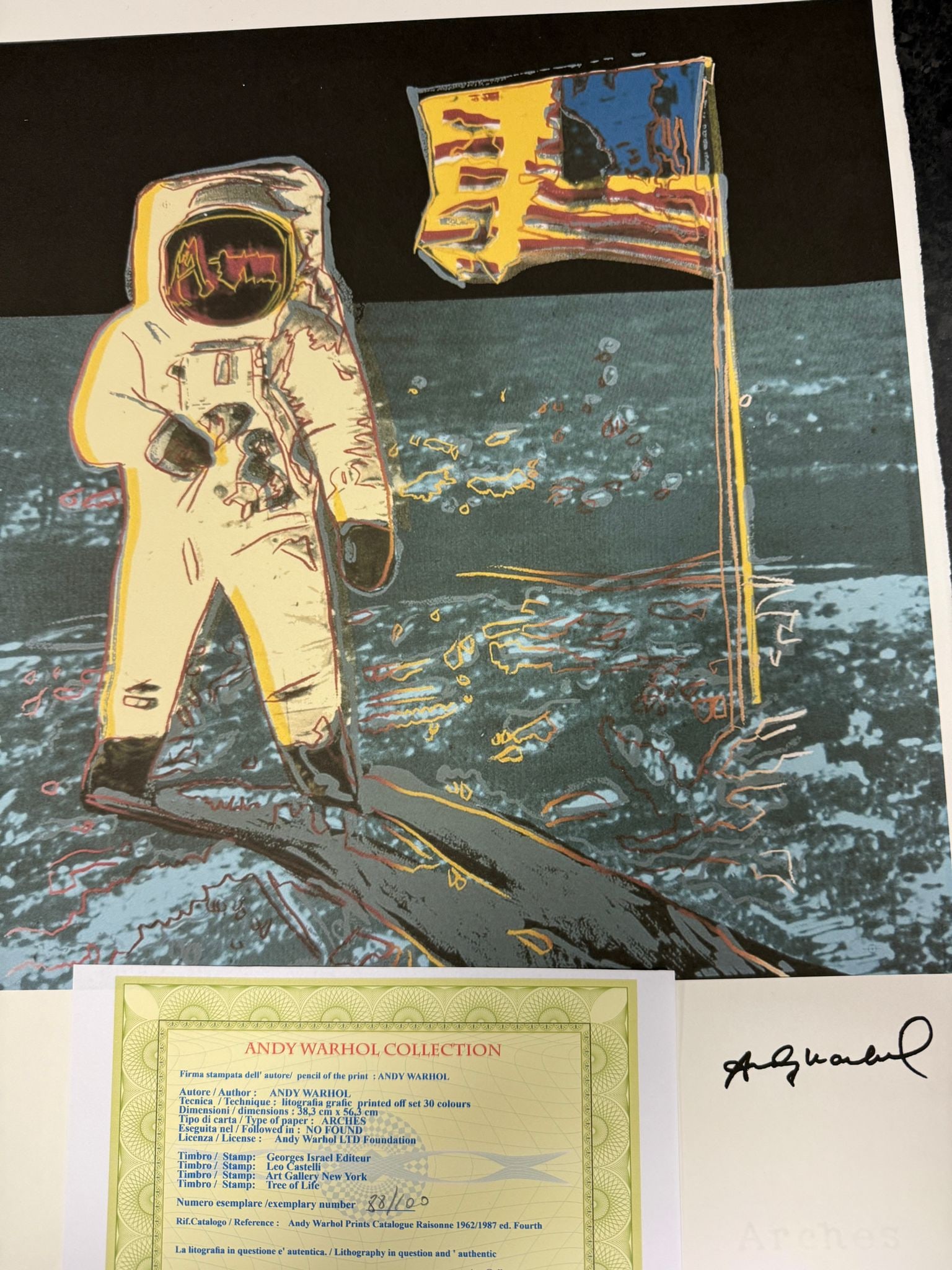 Andy Warhol, Original, Lithograph, Limited Edition, Plate Signed, Framed (1 of 4)