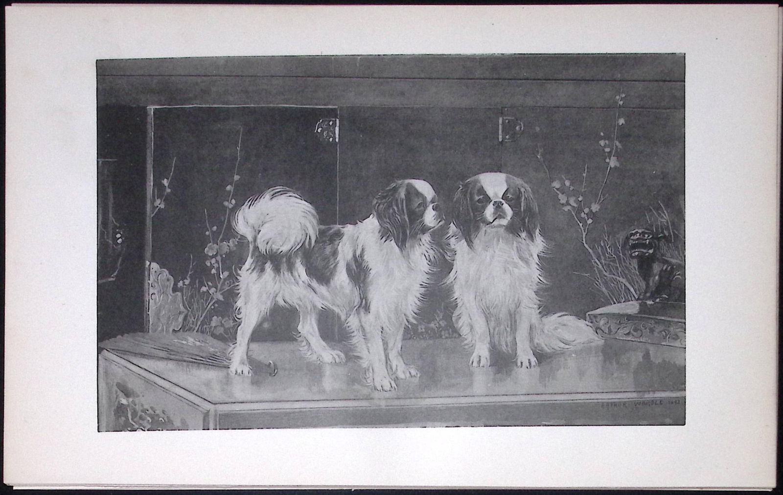 Japanese Spaniels Antique Book Plate Rawdon Lee Modern Dogs 1894-17 (1 of 2)
