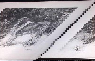 St Bernard & Toy Spaniels Antique Book Plate Rawdon Lee Modern Dog 1894-1