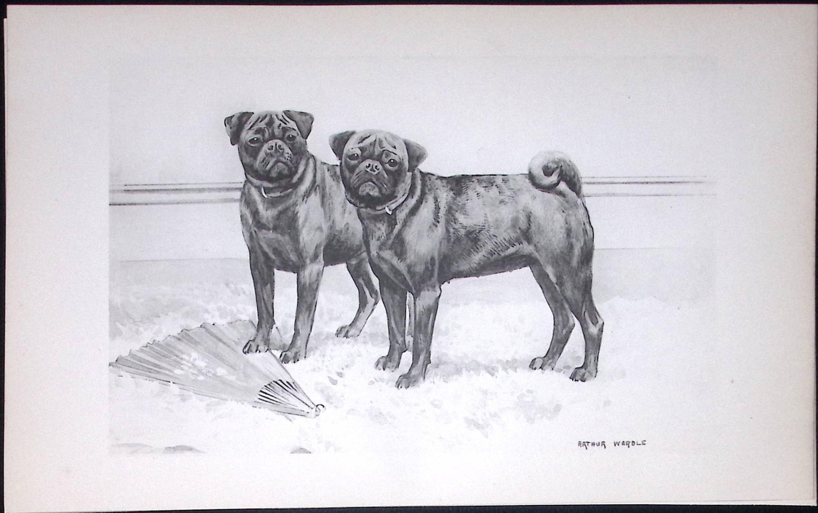 Black Pugs Antique Book Plate Rawdon Lee Modern Dogs 1894-14 (1 of 2)