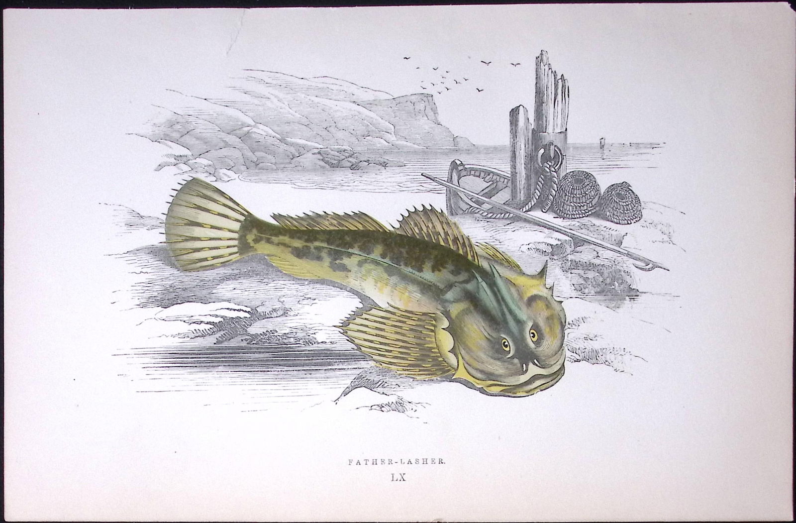 Father Lasher Fish Scarce Antique 1877 J. Couch Woodblock Engraving-203 (1 of 2)