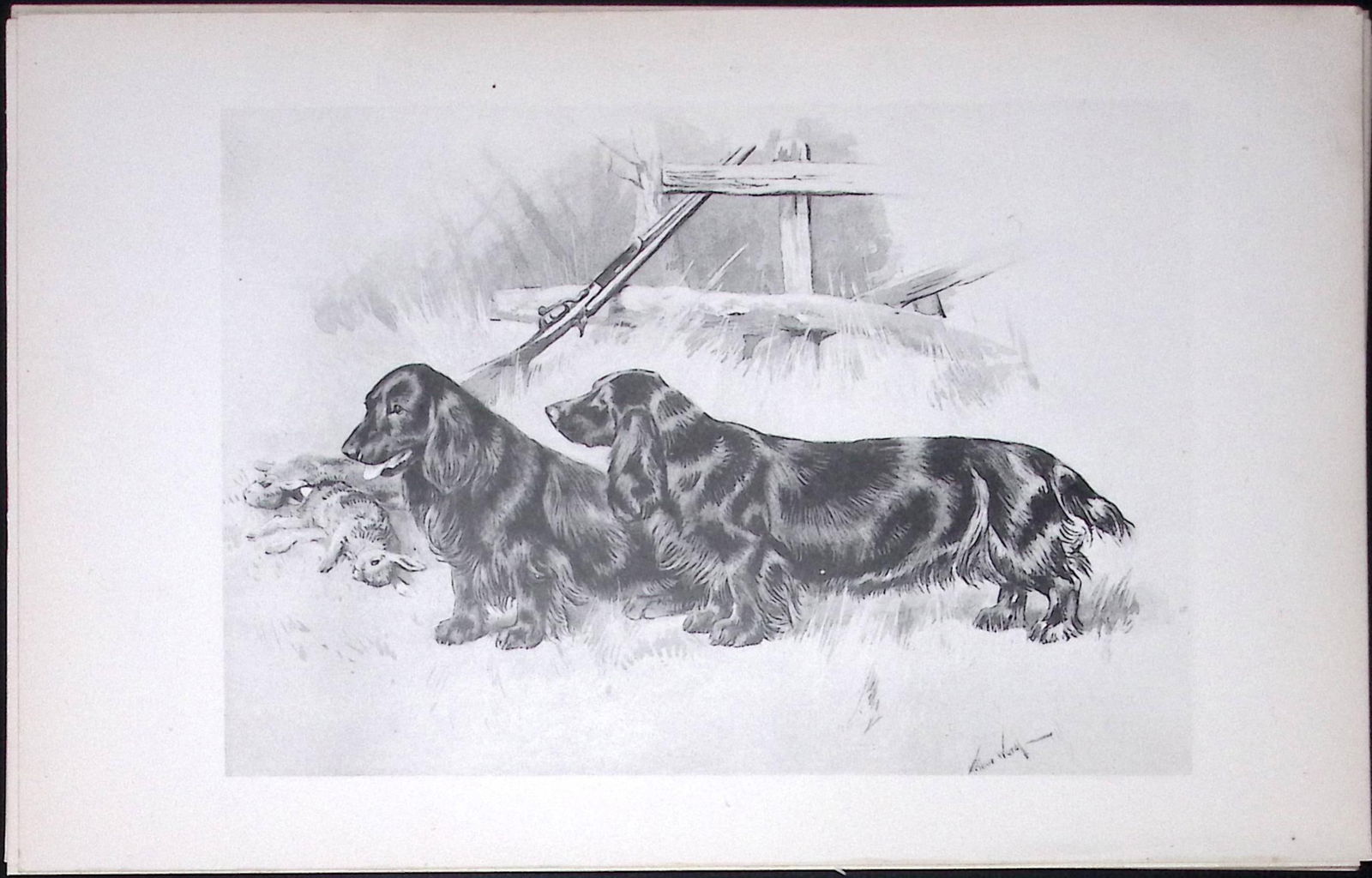 Black Field Spaniels Antique Book Plate Rawdon Lee Modern Dogs 1893-44 (1 of 2)