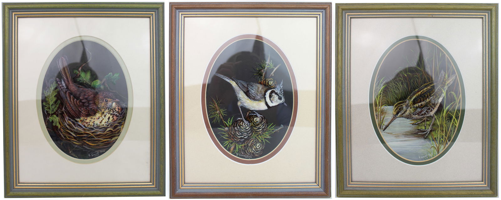 Set of 3 British Bird Paintings by Liz Garnett-Orme (1 of 13)