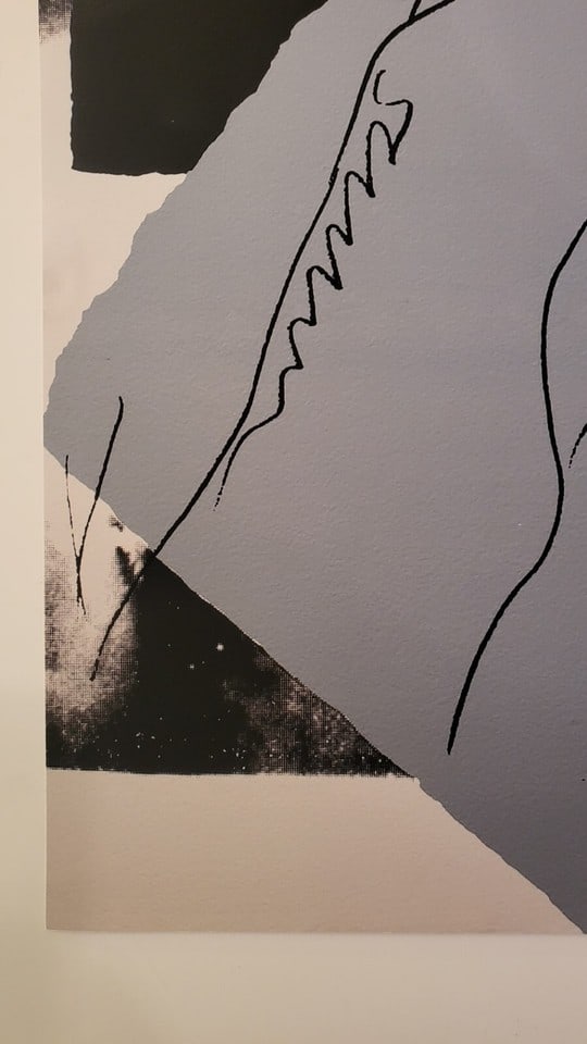 Andy Warhol 'Mick Jagger' Screenprint From Seabird `Edition. FS.11-147 1975 - 3