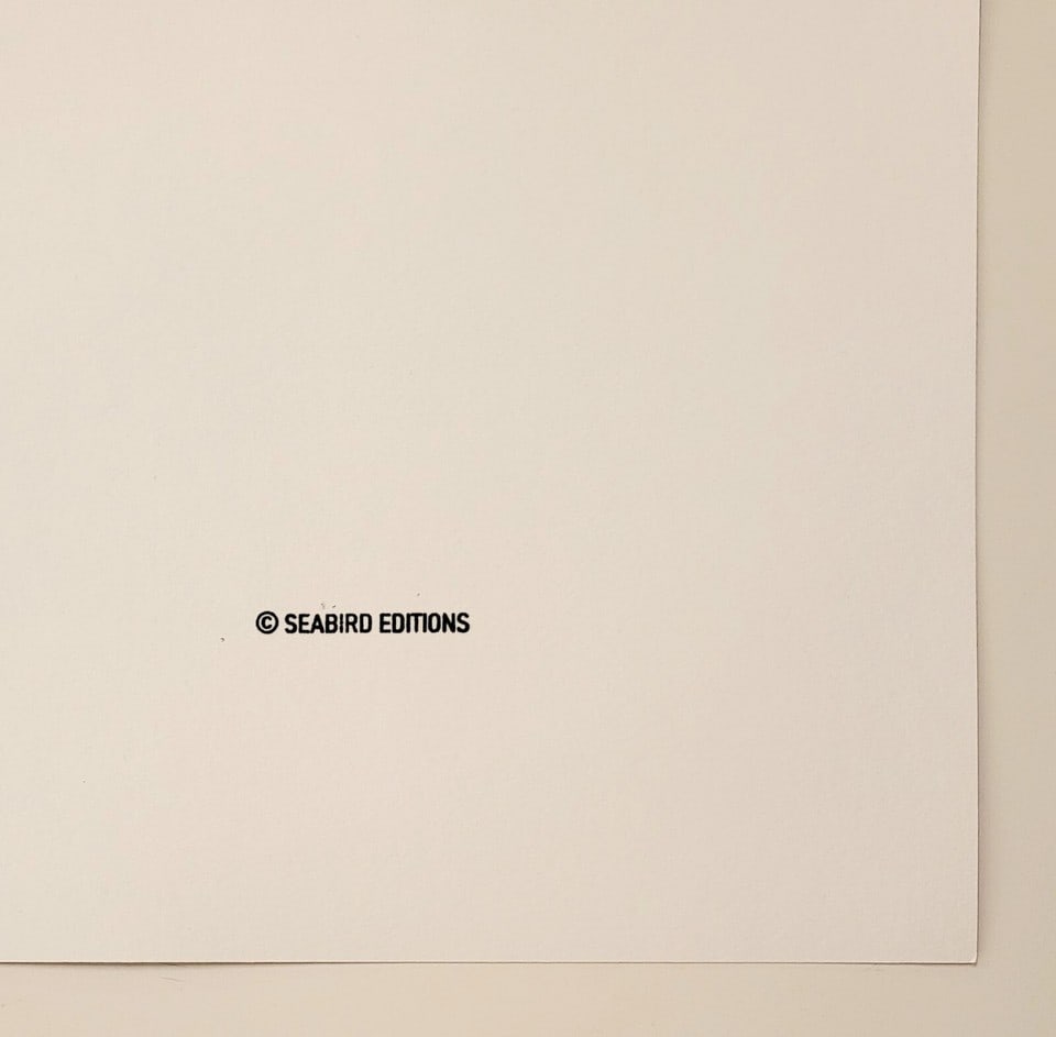 Andy Warhol 'Mick Jagger' Screenprint From Seabird Ediition FS.11-44 1975 - 7