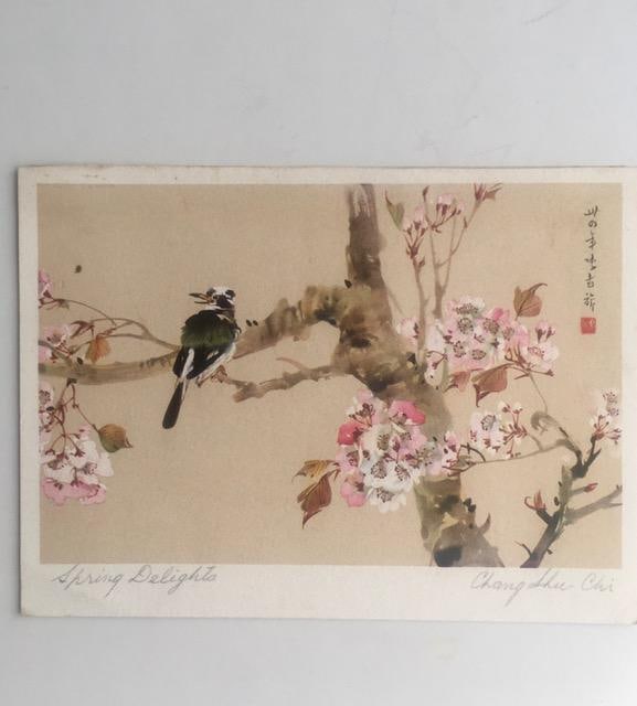 1938 Japan Blossom 'Spring Delights' By 'Chang Luc-Chi', Note Card With Dedication: Title: 1938 Japan Blossom 'Spring Delights' By 'Chang Luc-Chi', Note Card With Dedication Description: 1938 Japanese spring Blossom 'Spring Delights' by 'Chang Luc-Chi', Note card wi