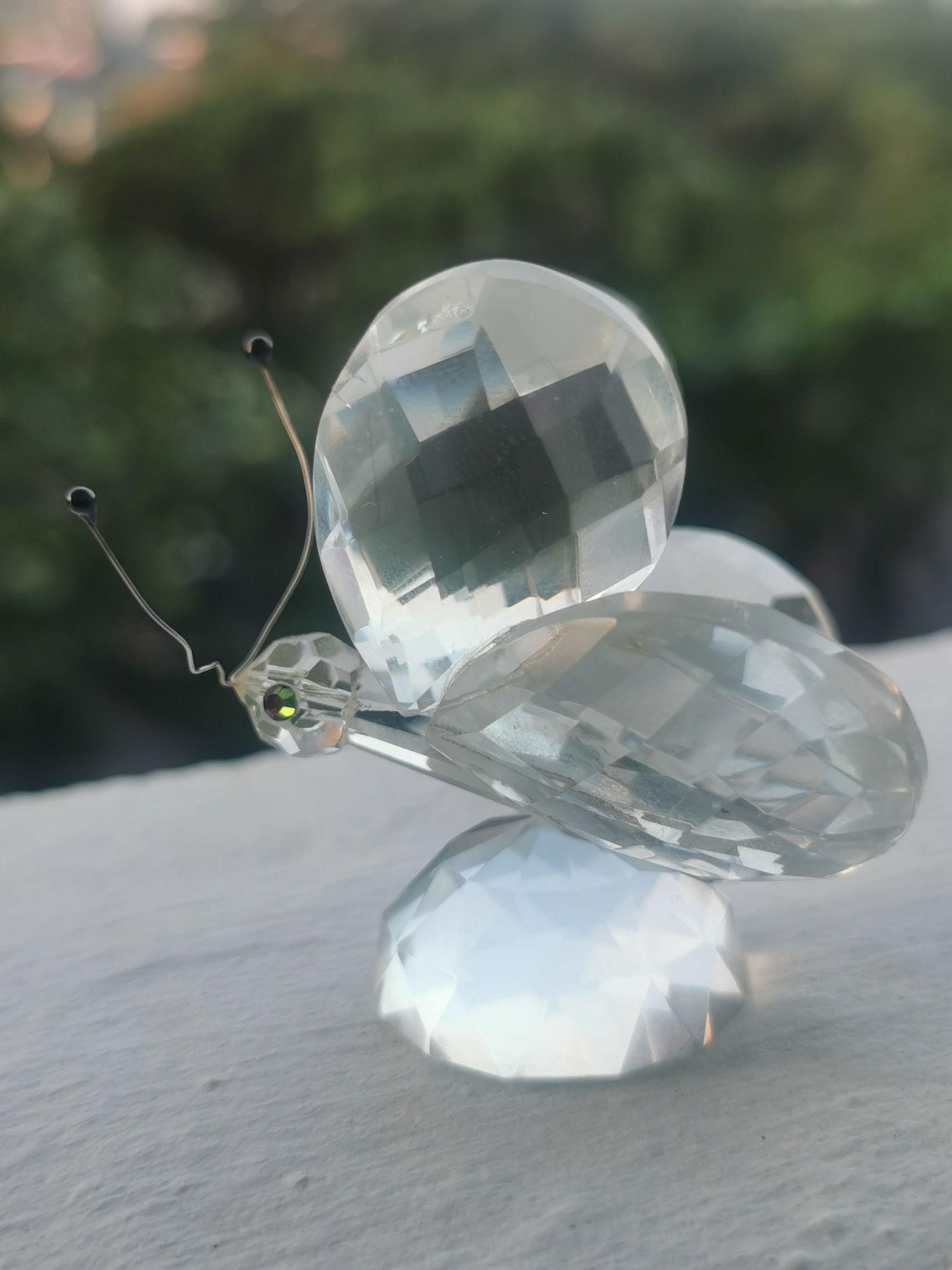 Swarovski Crystal Butterfly Figurine - 5
