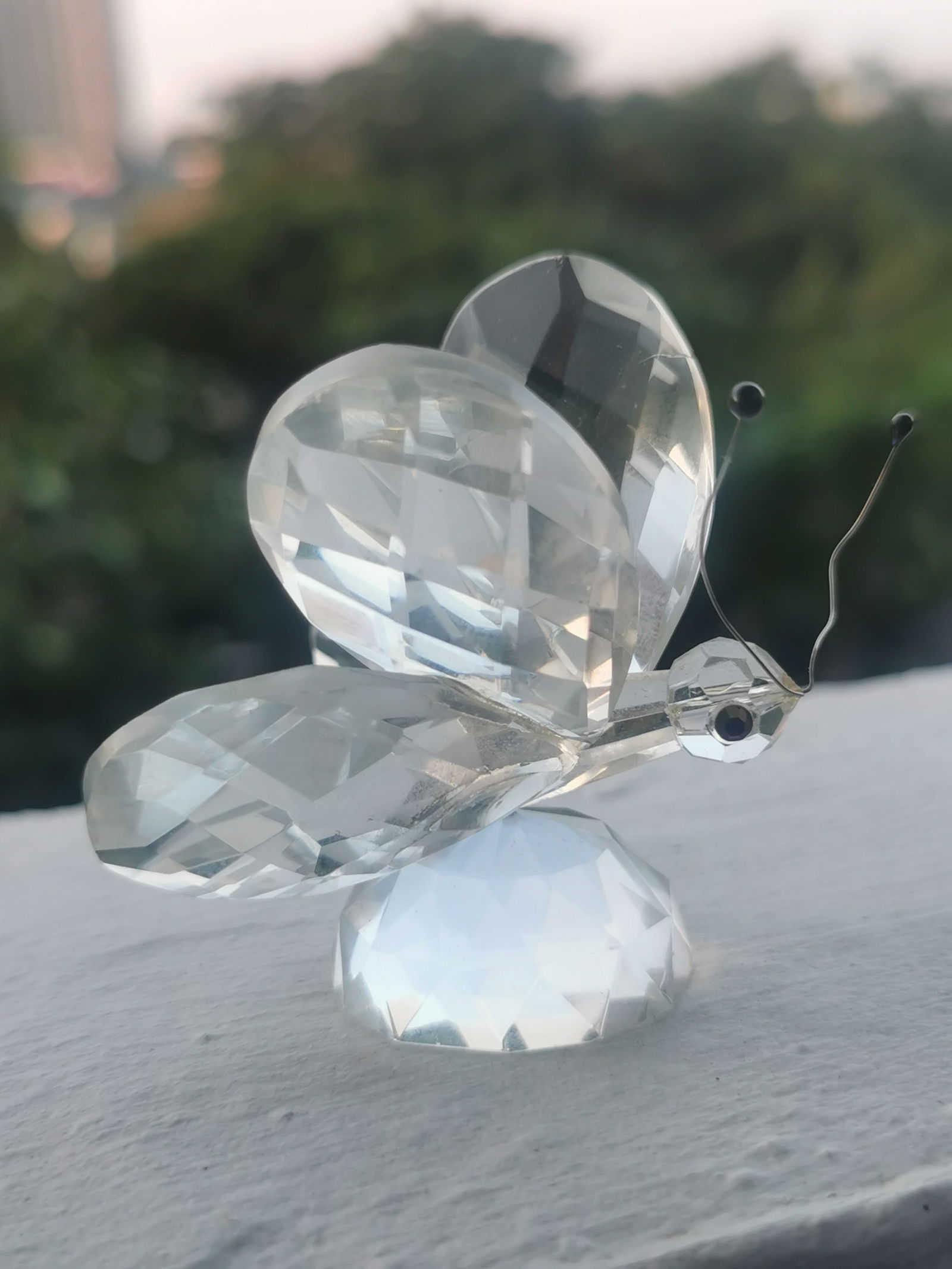Swarovski Crystal Butterfly Figurine - 6