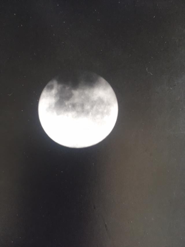 MJ Calvert, Gelatine Exhibition Photo, B&W On Board With Inscription, 1970s - 3