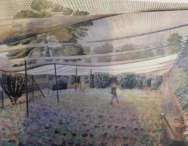 Eric Ravilious (b1903–42) ‘The England of Eric Ravilious’, 2nd Edition, 2003 - 6