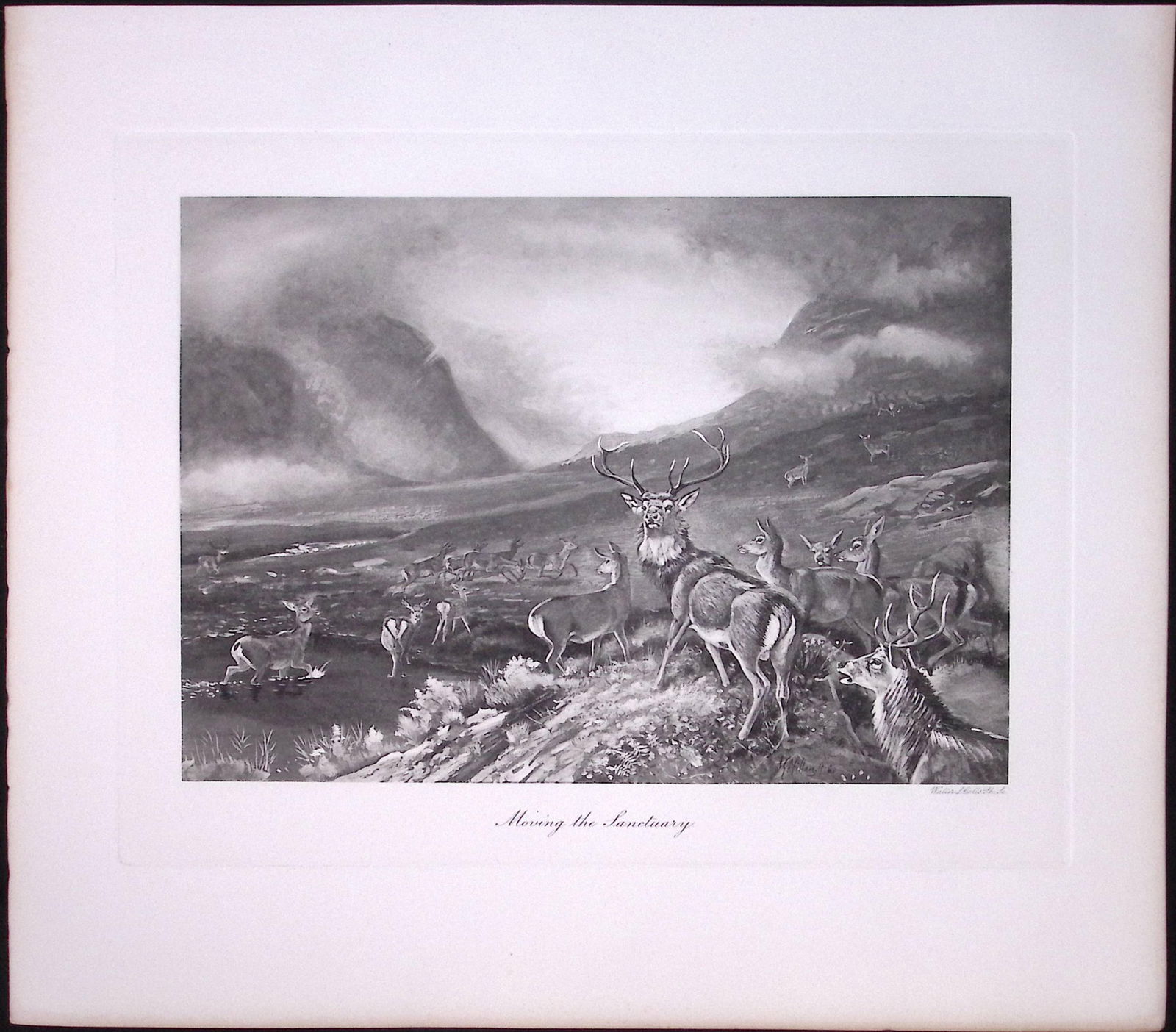 The Stag Sanctuary Rare Limited-Edition Antique JG Millais Print.: Title: The Stag Sanctuary Rare Limited-Edition Antique JG Millais Print. Description: This Rare First Edition Illustrated Print Has Been Removed from an Antique Edition. The Mammals of Great