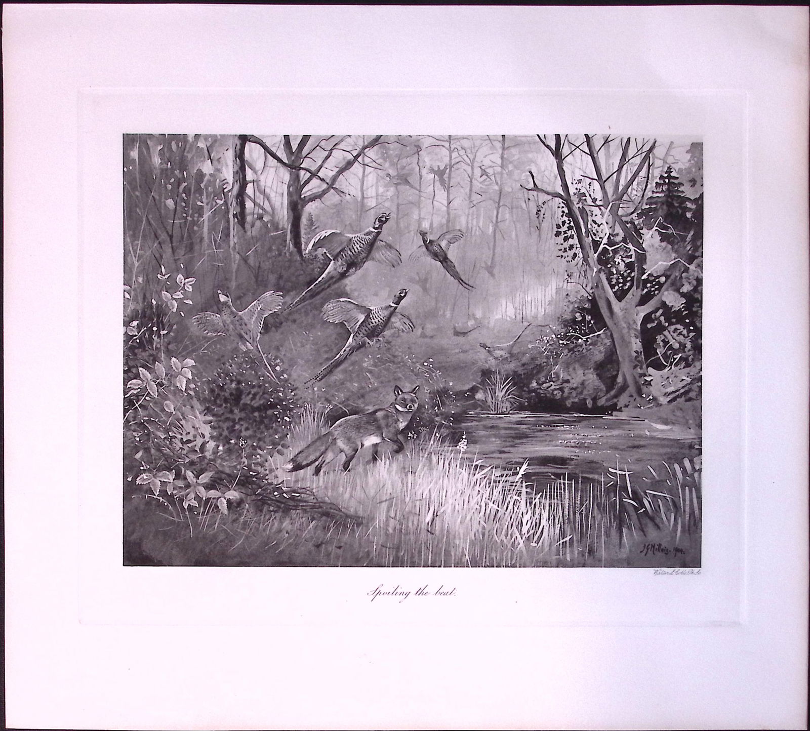 Fox On The Prowl Rare Limited-Edition Antique Print-50. (1 of 3)