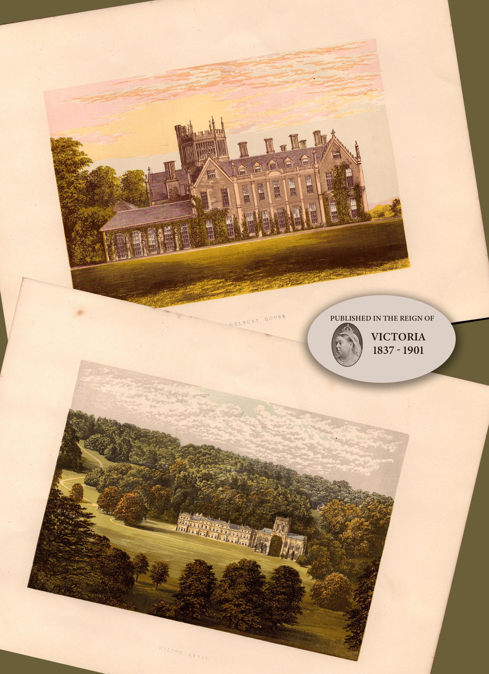 Dorsetshire 2 Stunning Gilt-Edge Coloured Victorian Antique Book Plates (1 of 4)