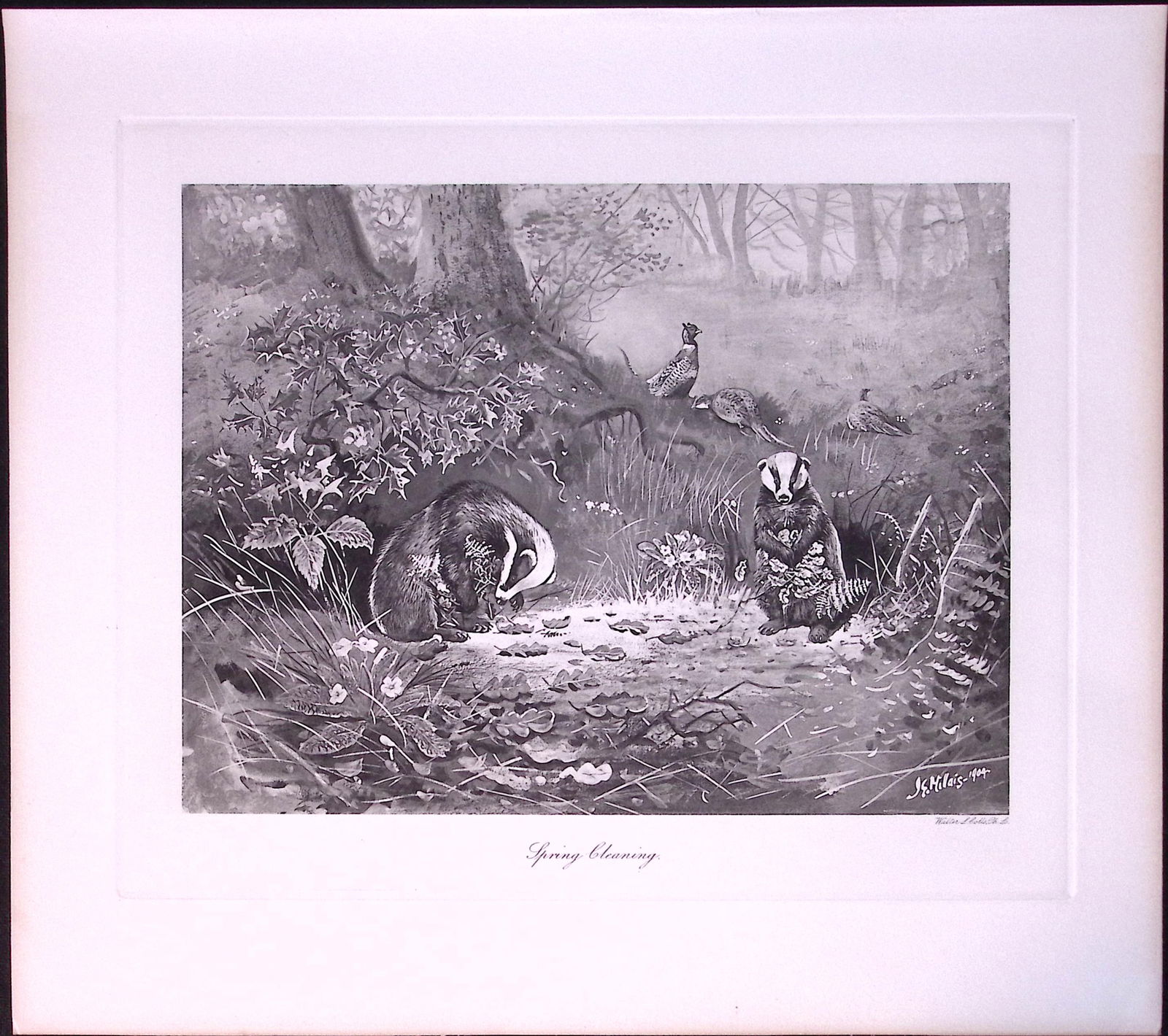 Badgers Spring Cleaning Rare Limited-Edition J.G. Millais Antique Print. (1 of 3)