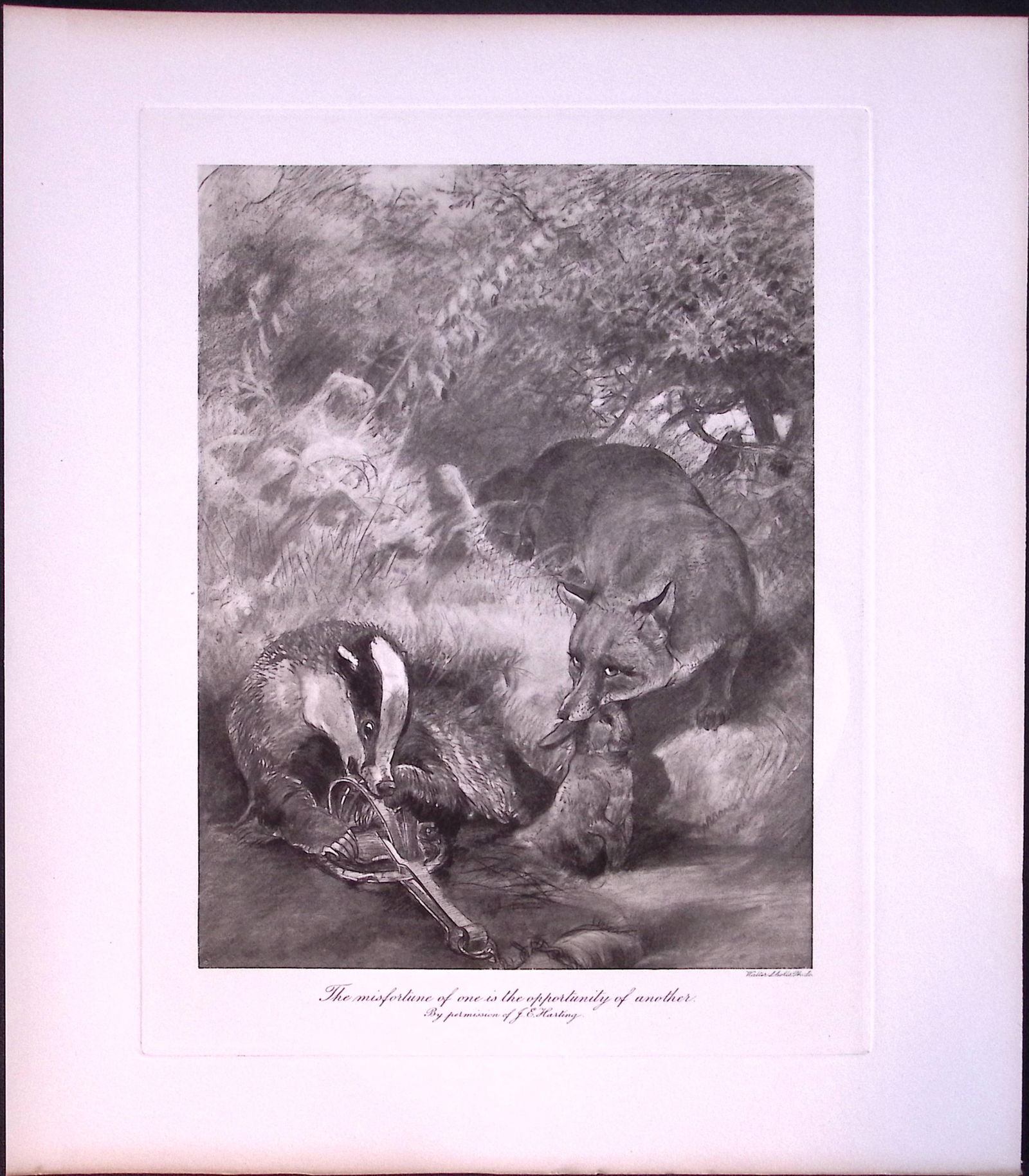 The Fox & Badger Rare Limited-Edition Antique JG Millais Print-72. (1 of 3)