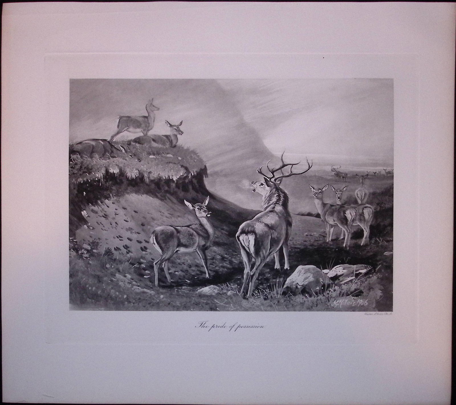 The Deer Pride Rare Limited-Edition Antique JG Millais Print. (1 of 3)